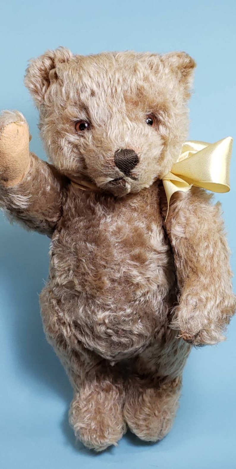 steiff 241543