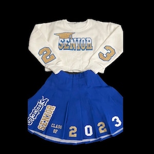 Custom Graduation Pleated Skirt Set