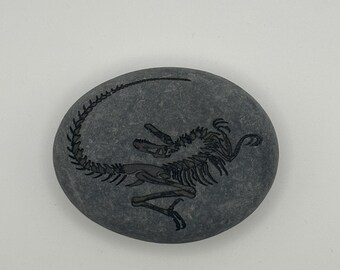 Peut inclure: Une pierre grise lisse de forme ovale présentant une illustration gravée sombre d'un squelette de dinosaure. Le motif squelettique montre la créature dans une position courbée, affichant le crâne, la cage thoracique, la colonne et la queue.