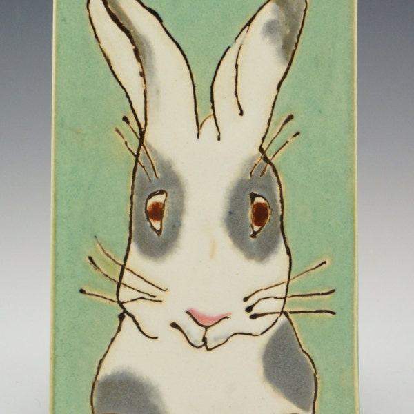 Curious Rabbit with a pink nose in warm grays and creamy white peers over a blue box against a muted green background