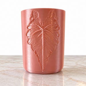 Maceta pequeña – Edición Hoja / Mini maceta autorriego de 57 g / Vaso interior transparente y mecha / Maceta para planta de hoja de Alocasia