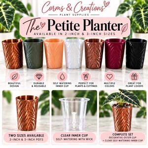 May include: A set of seven cylindrical planters with a leaf-patterned exterior in copper, green, peach, white, bronze, burgundy, and black. The text reads Corms & Creations The Petite Planter available in 2-inch & 3-inch sizes.