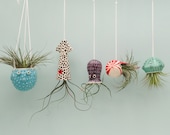 Small Collection of 5, Octopus Garden, Hanging Air Plant Holders, Squid, Octopus, Jellyfish, Puffer Fish, Nautilus