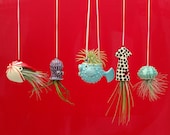 An Octopus Garden Collection of 5 Mini Hanging Air Planters, Gift for Mom