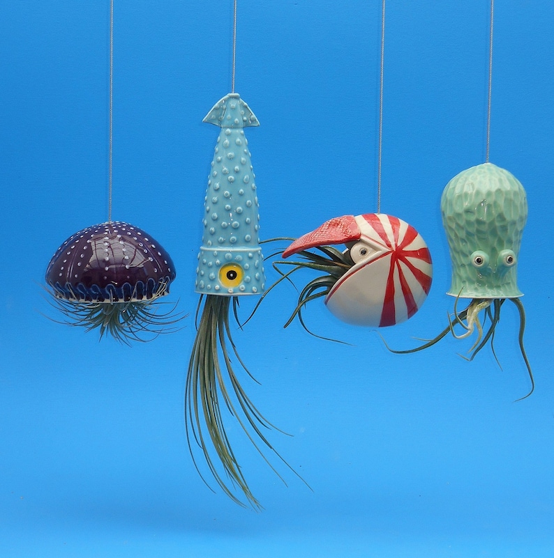 Christmas In Octopus Garden >> Octopus Garden Of 4 Large Planters For Air Plants Christmas In Octopus Garden >> Octopus Garden Of 4 Large Planters For Air Plants
