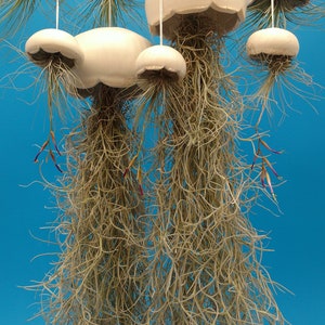 A Large Jellyfish Air Plant Hanger, Coastal Decor, Beach House image 6