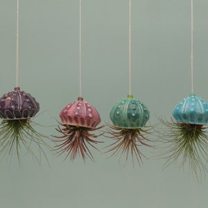Mini Jellyfish Hanging Air Planter, Bring the Beach Home,  Mother&#39;s Day Gift