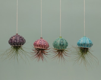 Mini Jellyfish Hanging Air Planter, Bring the Beach Home, Mother's Day Gift