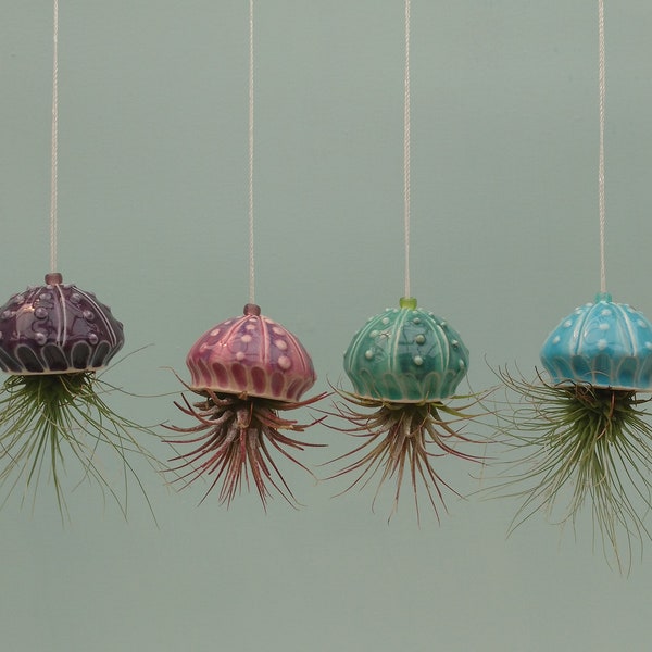 Mini Jellyfish Hanging Air Planter, Bring the Beach Home, Mother's Day Gift
