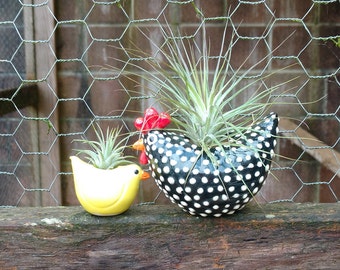 Mother Hen and Chick Air Plant Holder, Farm Decor, Live Plant Gift, Chicken Lover