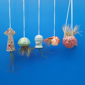 An Octopus Garden, Small Collection of 5, , Hanging Air Plant Holders,  Gift