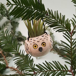 May include: A white ceramic owl planter with yellow eyes and a black beak, hanging from a branch. The planter is filled with green air plants.