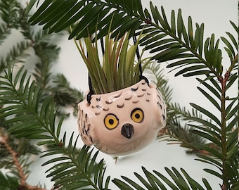 Mini  Snowy Owlet, Hanging Air Planter