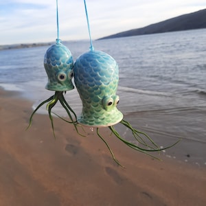 May include: Two blue and green ceramic octopus planters with air plants hanging from the bottom. The planters are hanging from the ceiling and are in front of a beach scene.