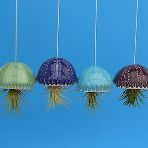 A Large Jellyfish Air Plant Hanger, Coastal Decor, Beach House image 1