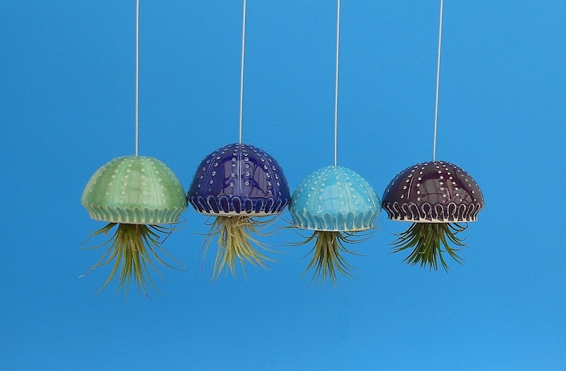 A Large Jellyfish Air Plant Hanger, Coastal Decor, Beach House image 1