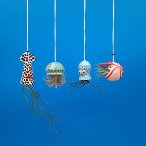 An Octopus Garden Collection of 4 Mini Hanging Air Planters, Bring the Beach Home