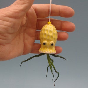 Mini, Original Octopus Air Plant Hanger, Mother's Day Gift image 5