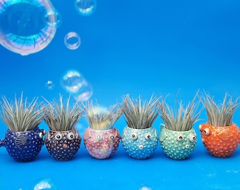 Pez globo, macetas de mesa, plantas aéreas, regalo alegre, maceta con peces tropicales