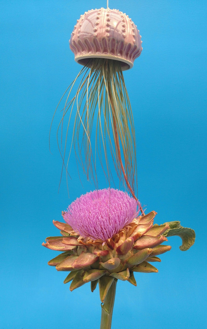 A Large Jellyfish Air Plant Hanger, Coastal Decor, Beach House image 4