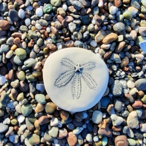 Sand Dollar Handmade Ornament, Mermaids Currency,  Christmas Ornament