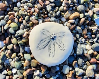 Sand Dollar Handmade Ornament, Mermaids Currency,  Christmas Ornament