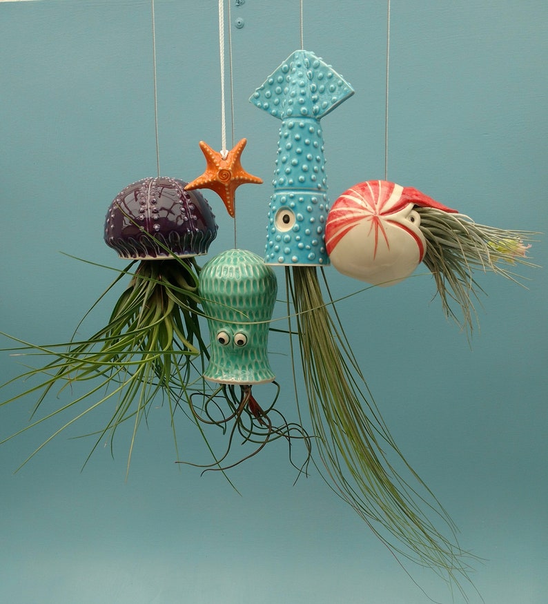 A Large Jellyfish Air Plant Hanger, Coastal Decor, Beach House image 10