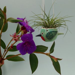 Hanging Hummingbird Air Planter, Jewels of the Sky