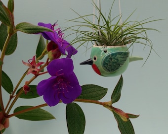 Hanging Hummingbird Air Planter, Jewels of the Sky, Mother's Day Gift