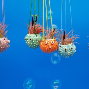 Mini, Hanging Puffer Fish Planters, Air Planter