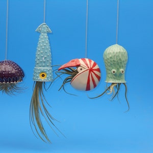 A Small Nautilus, Hanging Air Plant Holder, Mother's Day Gift image 7