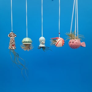 An Octopus Garden, Collection of 5 Mini Hanging Air Planters, Mother's Day Gift image 1