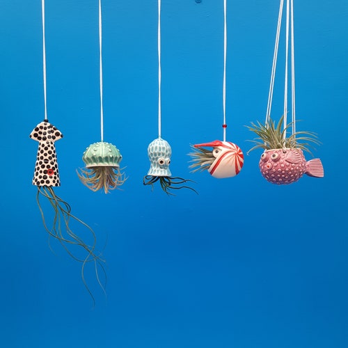 An Octopus Garden Collection of 5 Mini Hanging Air Planters, Nautilus, Pufferfish, Octopus, Jellyfish and Squid