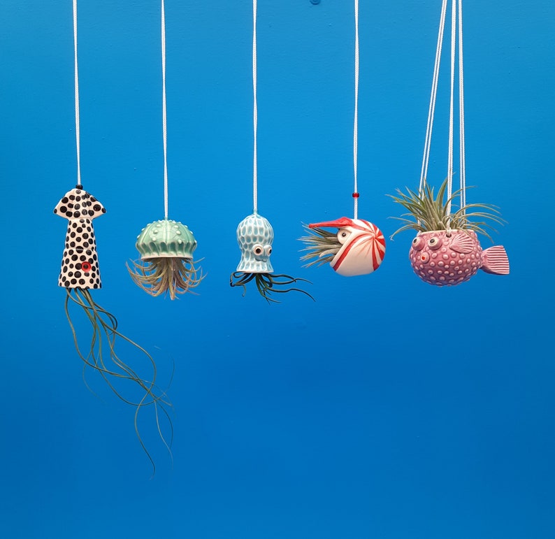 An Octopus Garden Collection of 5 Mini Hanging Air Planters image 1
