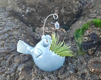 A  Deep Sea Fish Air Plant Holder, Ocean Lover Gift