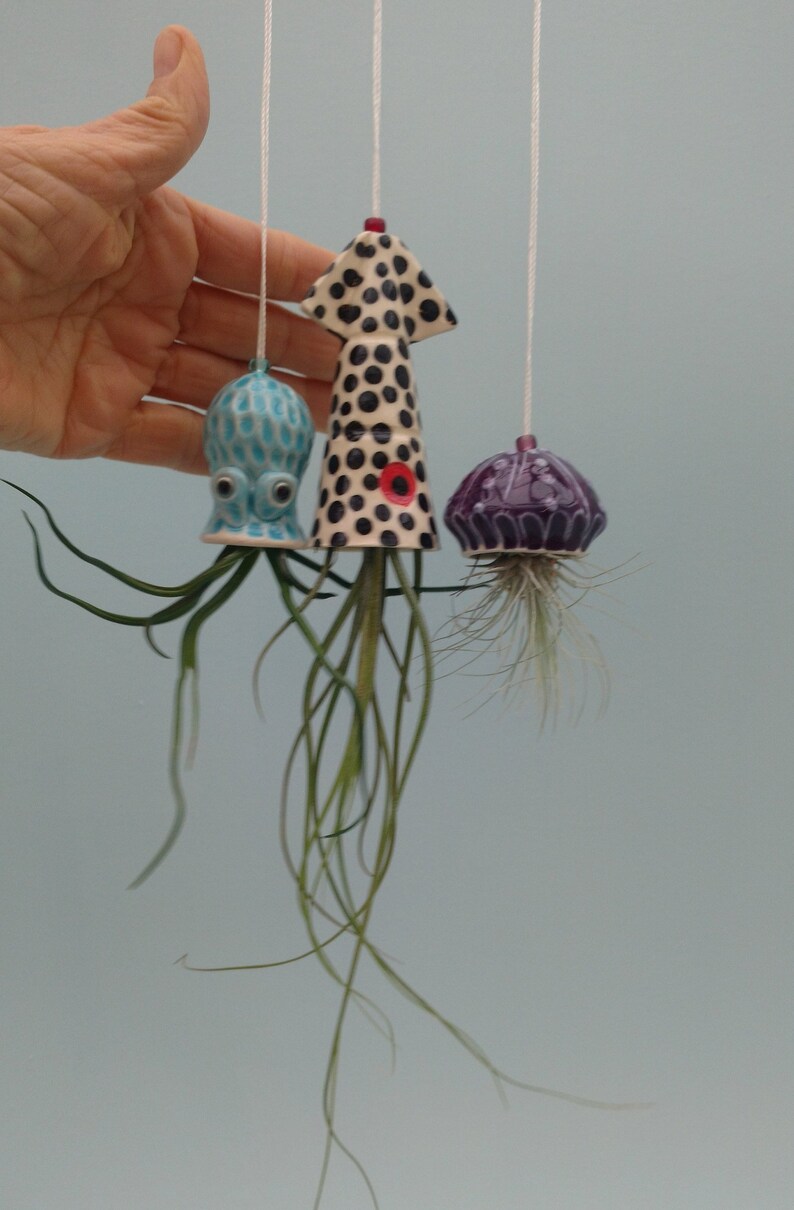 Christmas In Octopus Garden >> Mini Octopus Garden Set Hanging Planters Collection Of 3 Squid Jellyfish And Octopus Christmas In Octopus Garden >> Mini Octopus Garden Set Hanging Planters Collection Of 3 Squid Jellyfish And Octopus
