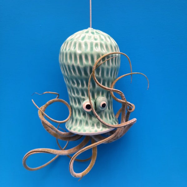 Large Original, Octopus Air Plant Hanger, Octopus Garden