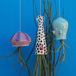 A Large Jellyfish Air Plant Hanger, Coastal Decor, Beach House image 3