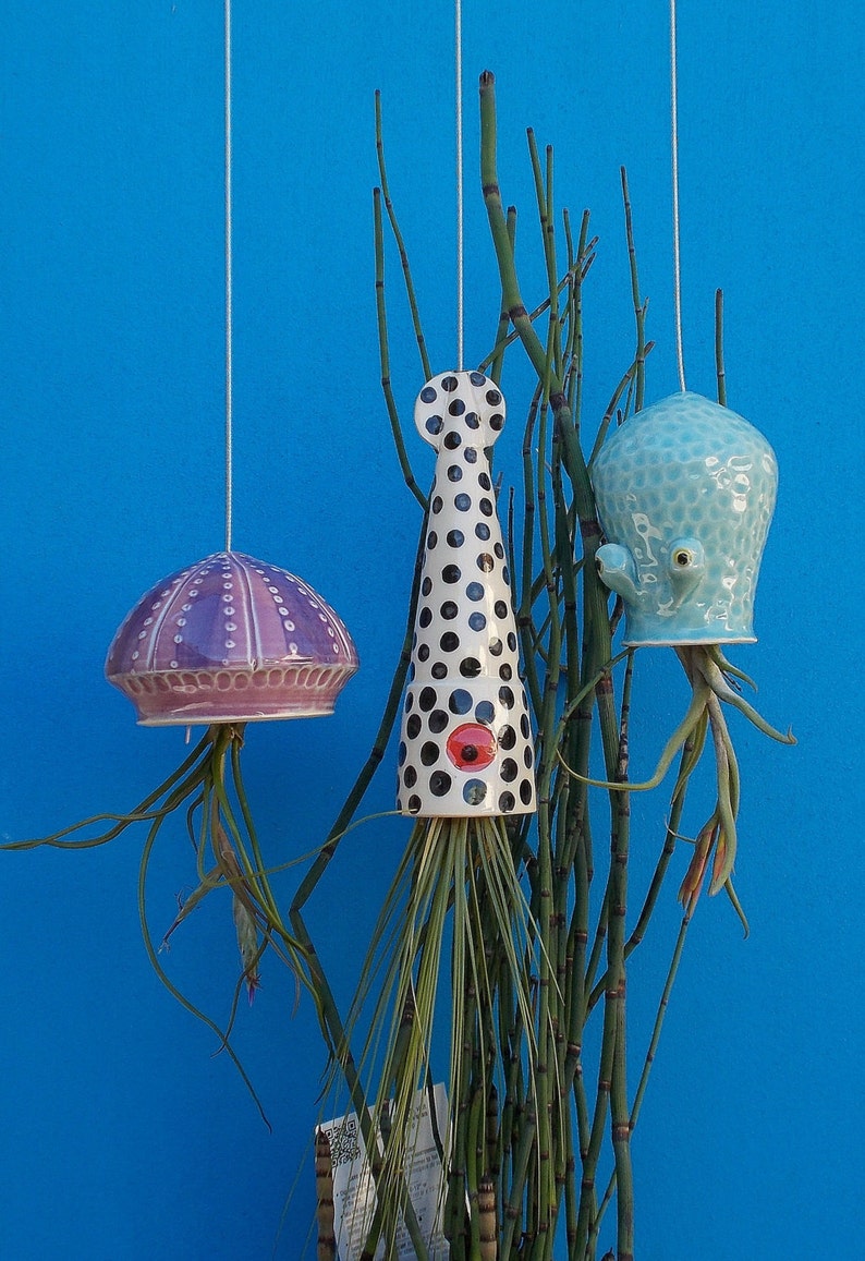 A Large Jellyfish Air Plant Hanger, Coastal Decor, Beach House image 3