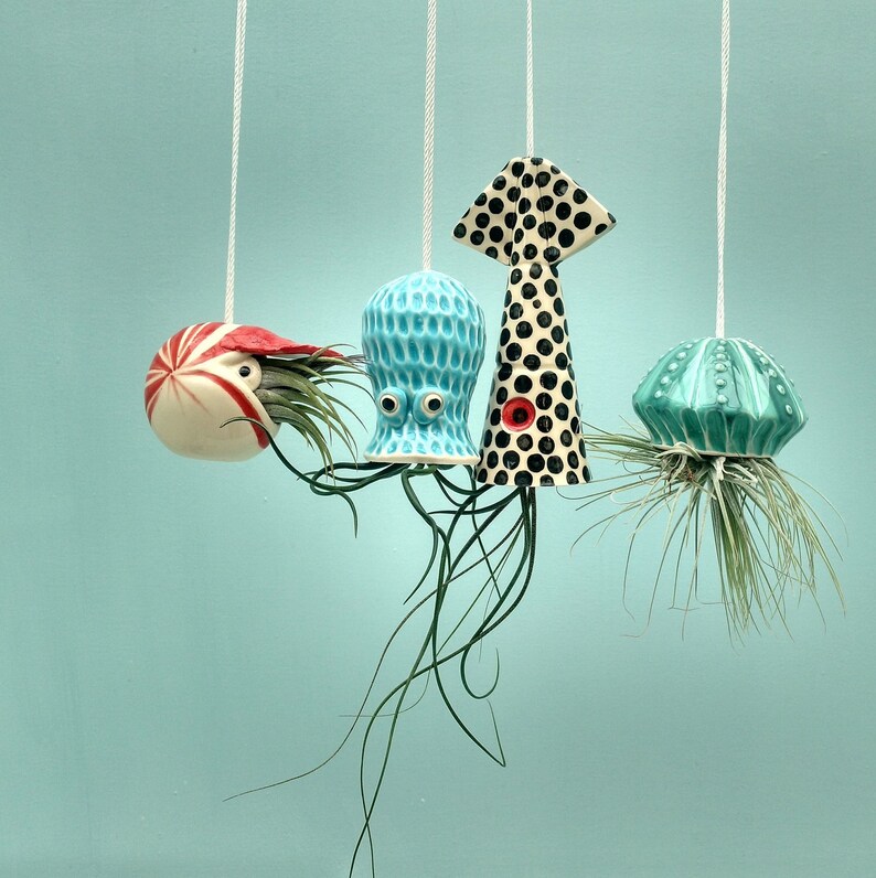 Christmas In Octopus Garden >> Octopus Garden Collection Of 4 Small Hanging Air Planters Christmas In Octopus Garden >> Octopus Garden Collection Of 4 Small Hanging Air Planters