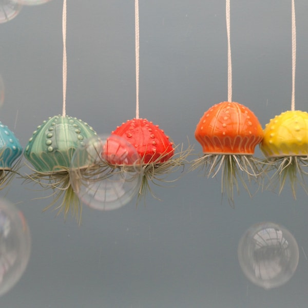 Small Jellyfish, Hanging  Air Planter, Bring the Beach Home, Mother's Day Gift