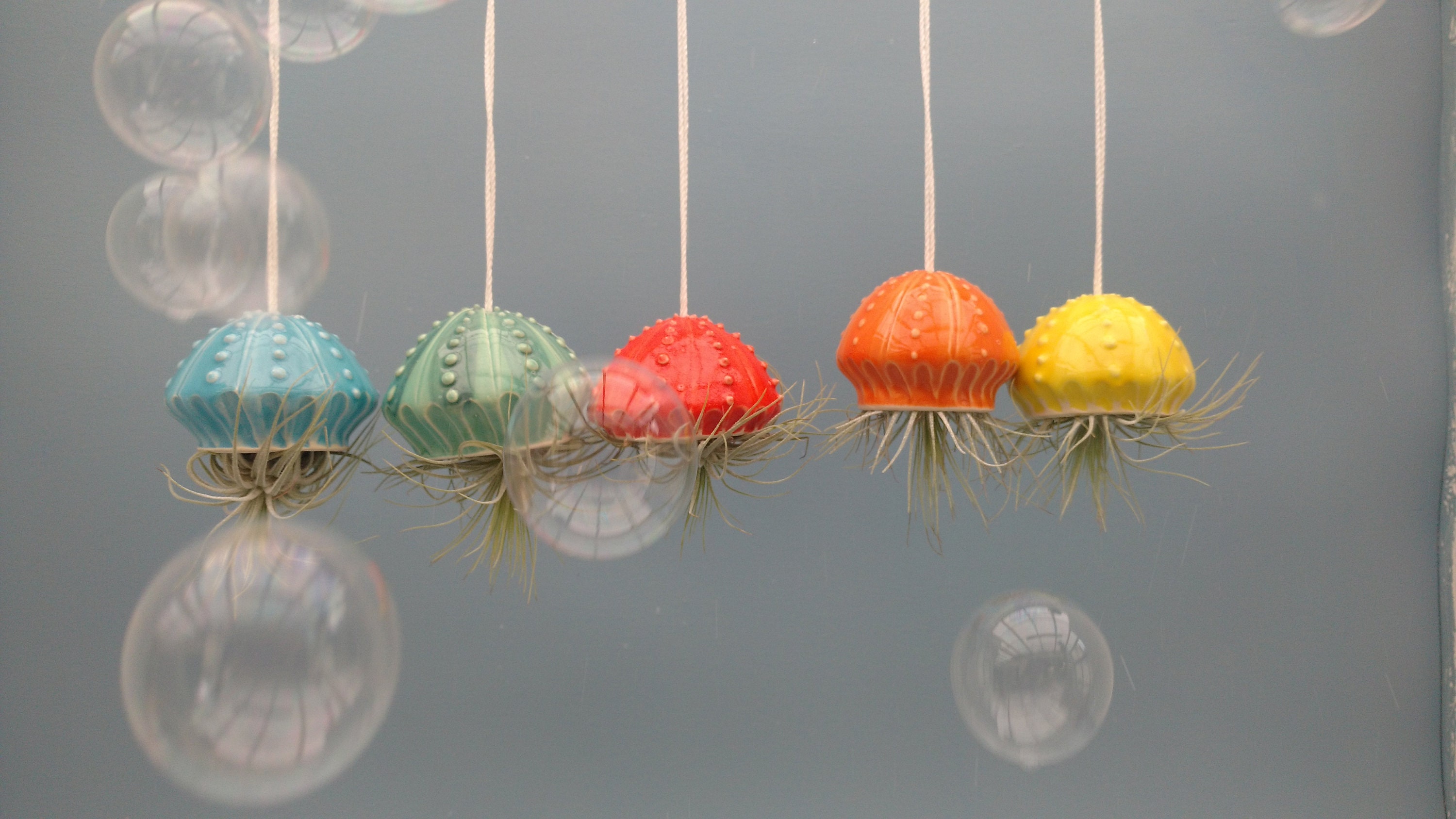 Small Jellyfish, Hanging Air Planter, Bring The Beach Home