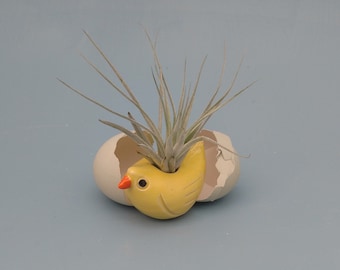 Chick, Air Planter