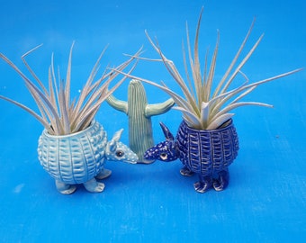 Mini Armadillo, Air Planter, Whimsical Gift, Southwest Decor