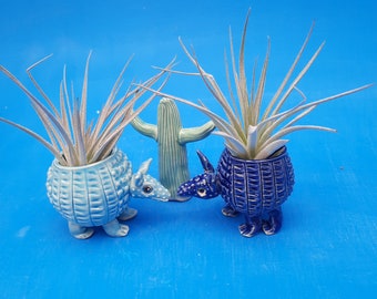 Mini Armadillo, Air Planter, Whimsical Gift, Mother's Day Gift