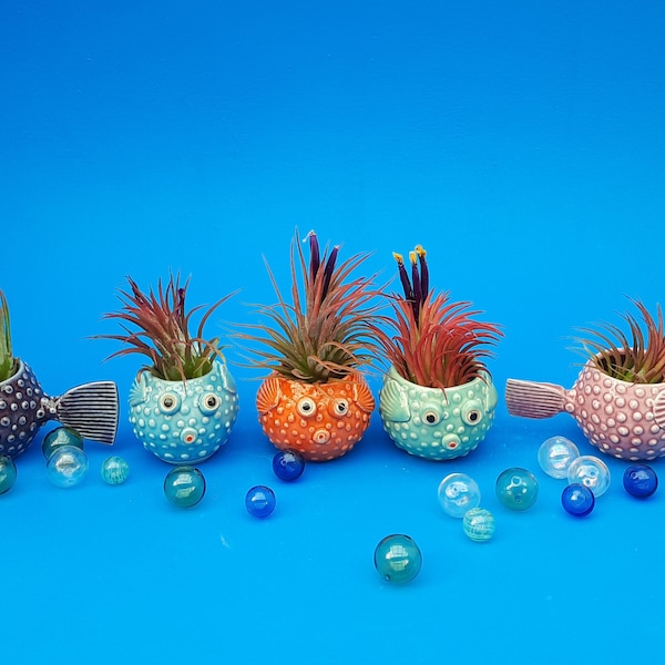 Mini Puffer Fish, Table Top Air Planter, Bring The Beach Home, Mother's Day Gift