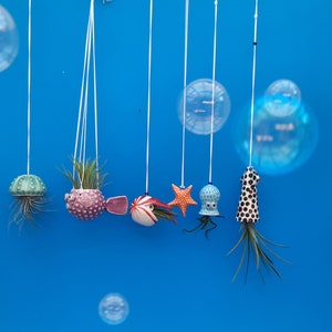 An Octopus Garden, Collection of 5 Mini Hanging Air Planters, Mother's Day Gift image 10