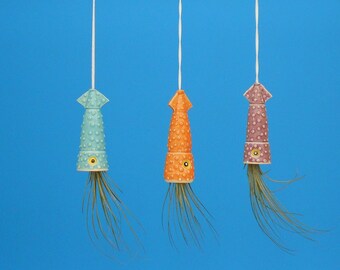 Air Planter, Large Squid, Send A Squids, Live Plant, Whimsical Gift