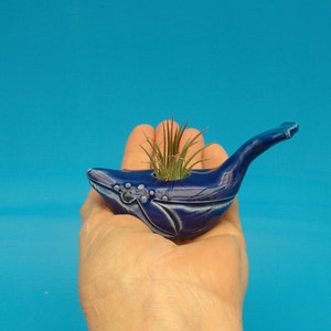 May include: A blue ceramic whale planter with a small air plant growing inside. The planter is held in a person's hand.