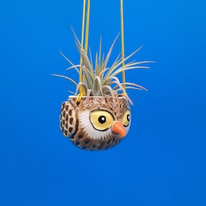 May include: A brown and white owl-shaped ceramic planter with a green air plant hanging from yellow cords against a blue background.
